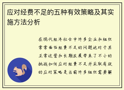 应对经费不足的五种有效策略及其实施方法分析
