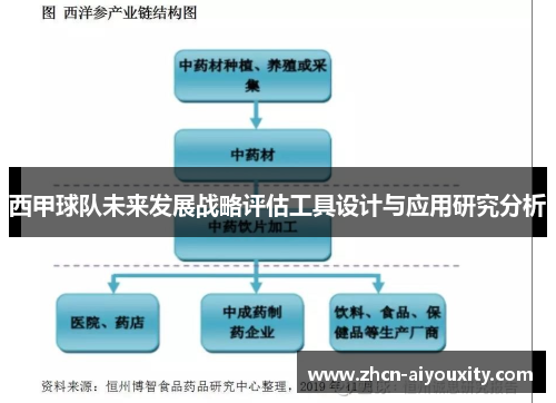 西甲球队未来发展战略评估工具设计与应用研究分析